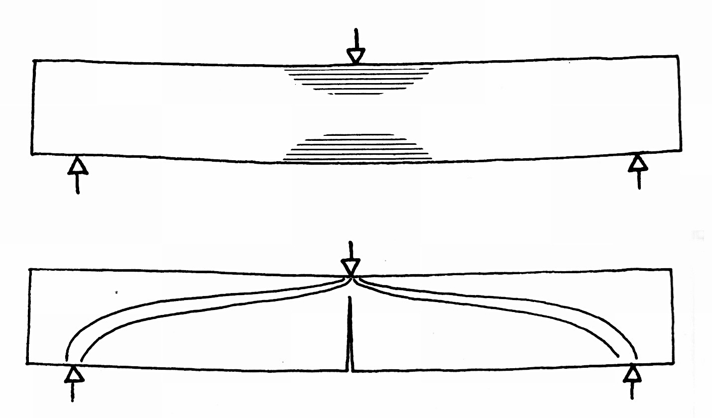 4.3. THE SKYSCRAPER’S ORGANIZATION – The Architecture Professor